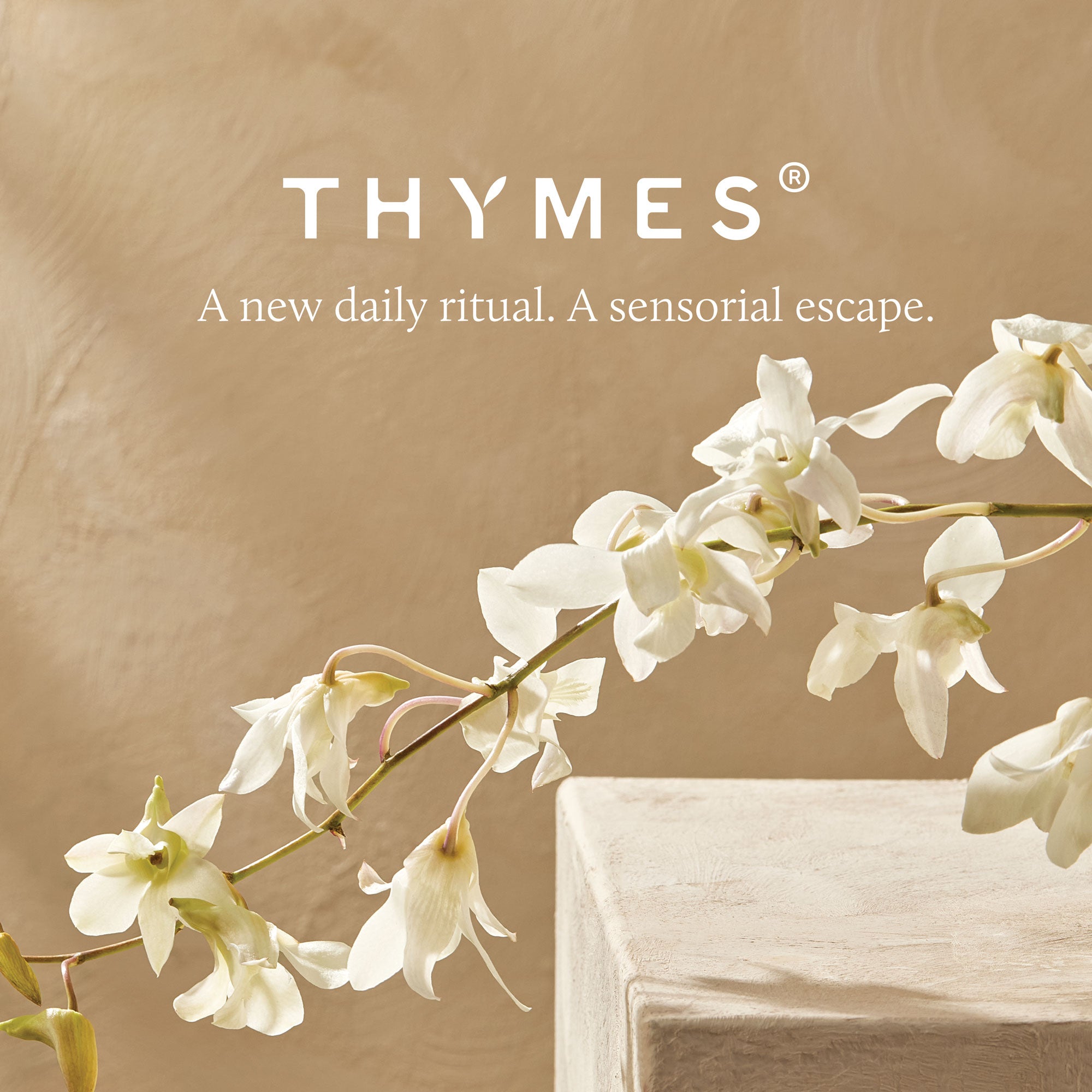 Eucalyptus Replenishing Hand Lotion - Image 7