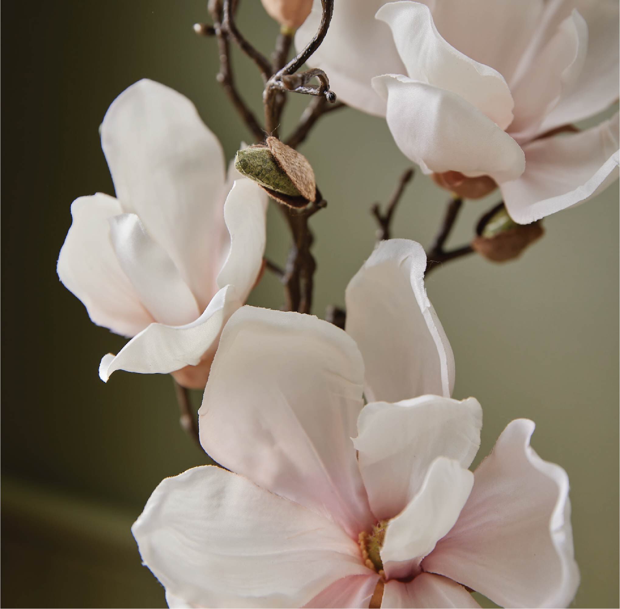 Magnolia Willow Reed Diffuser Oil Refill - Image 3
