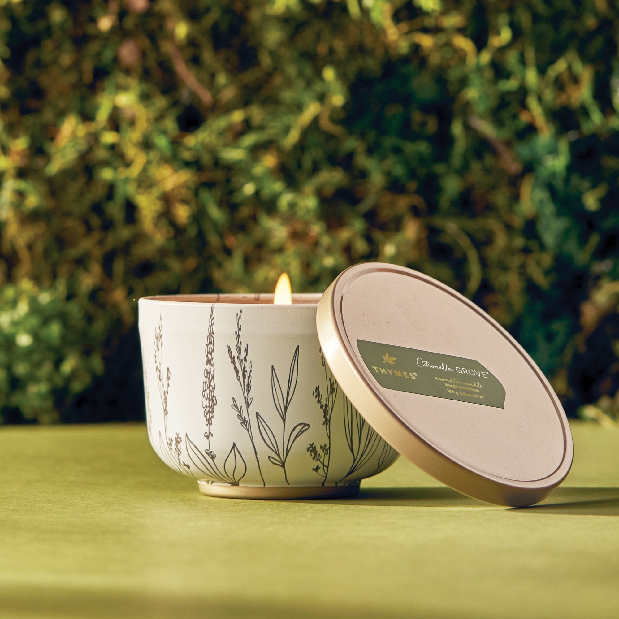Outdoor Oasis Citronella Grove Poured Candle Tin with Gold Lid - Image 2